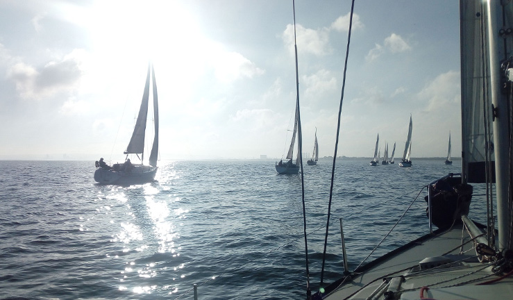 View from a yacht into the winter sunshine with around half a dozen other yachts ahead and silhouetted against the sky.