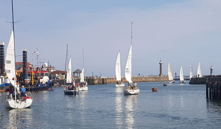 Around half a dozen yachts with white sails, sailing out of the harbour at Whitby in the sunshine.